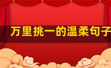 万里挑一的温柔句子图片