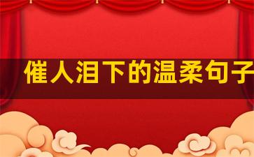 催人泪下的温柔句子图片