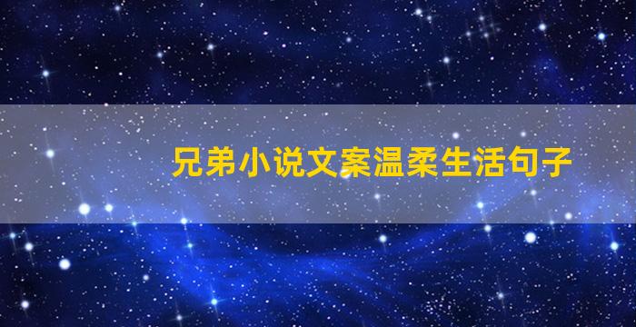 兄弟小说文案温柔生活句子