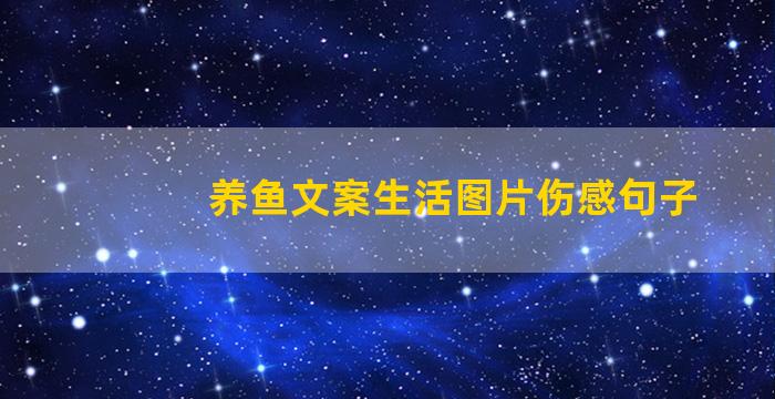 养鱼文案生活图片伤感句子