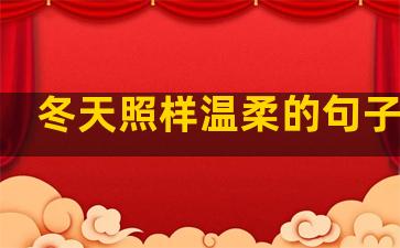冬天照样温柔的句子说说