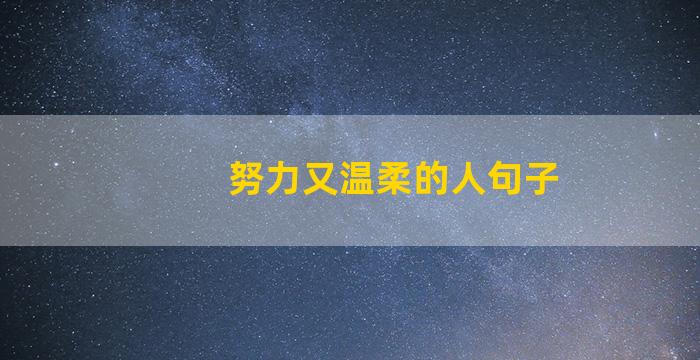 努力又温柔的人句子