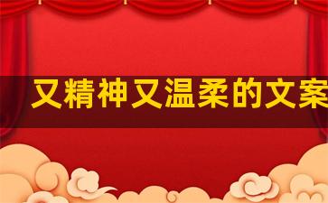 又精神又温柔的文案句子