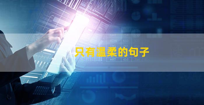 只有温柔的句子