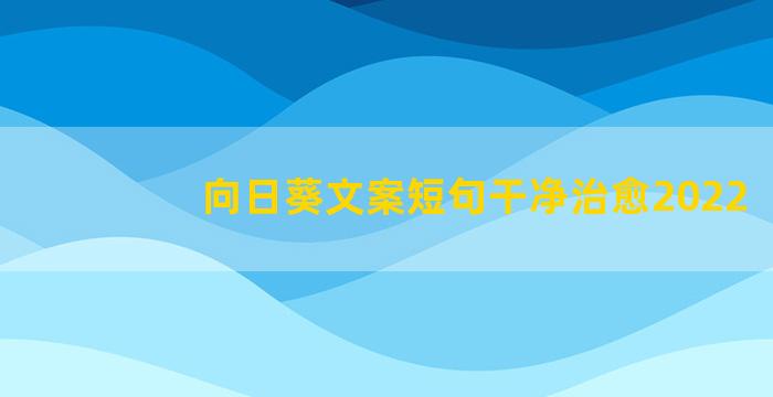 向日葵文案短句干净治愈2022