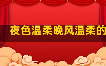 夜色温柔晚风温柔的句子