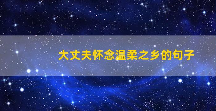 大丈夫怀念温柔之乡的句子