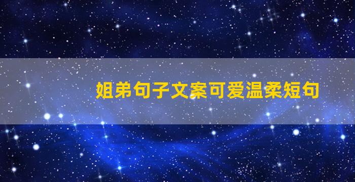 姐弟句子文案可爱温柔短句