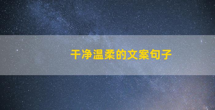 干净温柔的文案句子