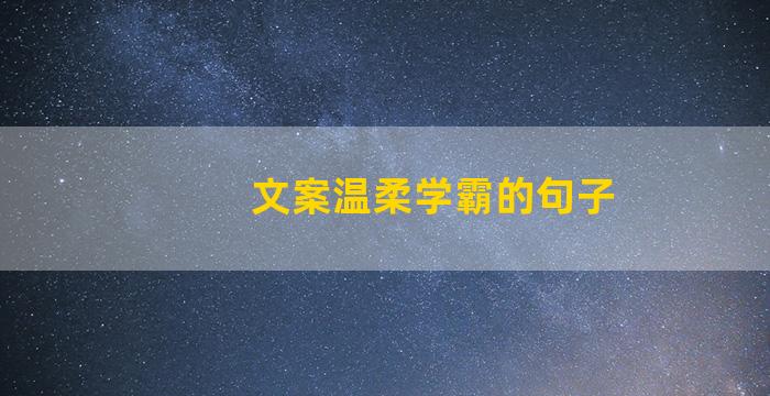 文案温柔学霸的句子