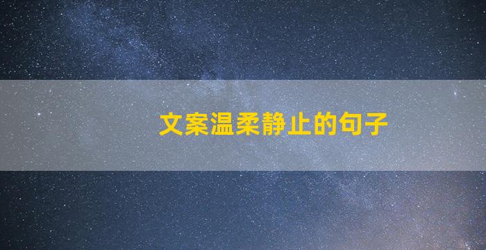 文案温柔静止的句子