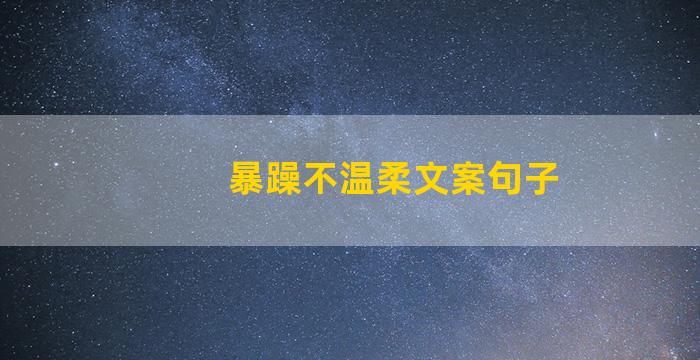 暴躁不温柔文案句子