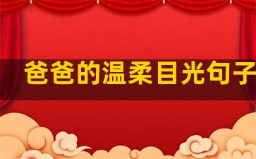 爸爸的温柔目光句子仿写