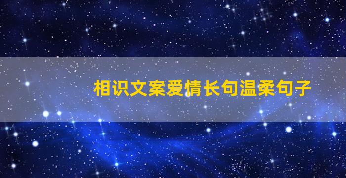 相识文案爱情长句温柔句子