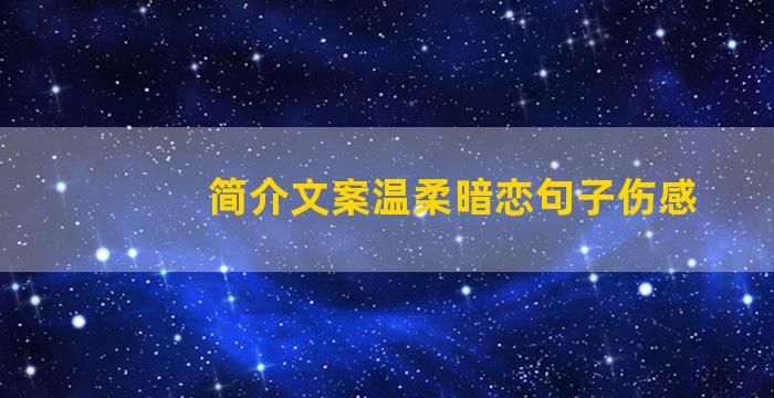 简介文案温柔暗恋句子伤感