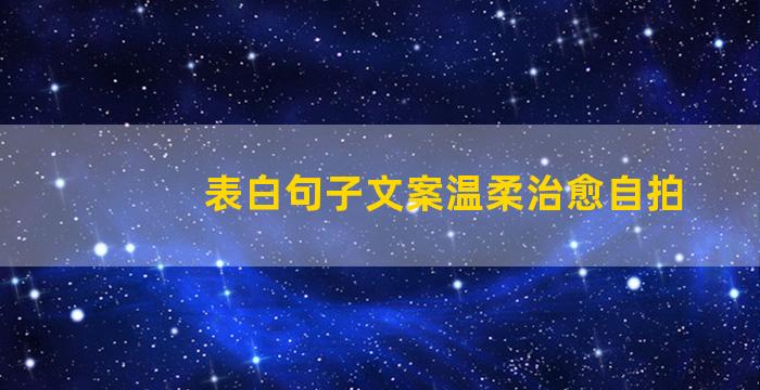 表白句子文案温柔治愈自拍